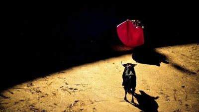 CIO Chartbook: Will the bull run continue?