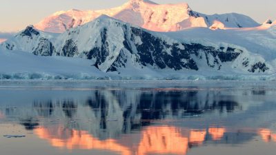 CIO Chartbook: Reversal?